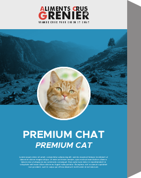 Premium Complet Chat